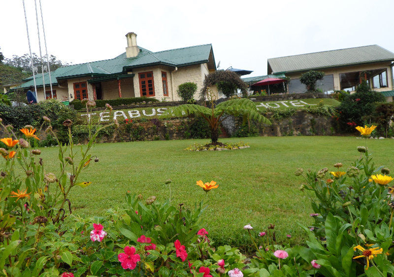 Tea Bush Hotel Nuwara Eliya Bagian luar foto